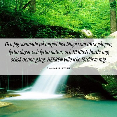 Picture 06 - 5 Mosebok 10:10 SV1917 - Och jag stannade på berget lika länge som - Bible Verse Picture