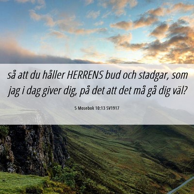 Picture 06 - 5 Mosebok 10:13 SV1917 - så att du håller HERRENS bud och stadgar, som - Bible Verse Picture