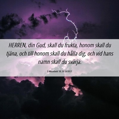 Picture 06 - 5 Mosebok 10:20 SV1917 - HERREN, din Gud, skall du frukta, honom skall du - Bible Verse Picture