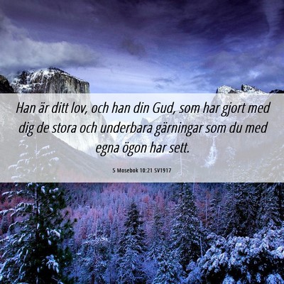 Picture 06 - 5 Mosebok 10:21 SV1917 - Han är ditt lov, och han din Gud, som har gjort - Bible Verse Picture