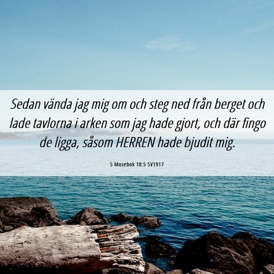 Picture 06 - 5 Mosebok 10:5 SV1917 - Sedan vända jag mig om och steg ned från berget - Bible Verse Picture