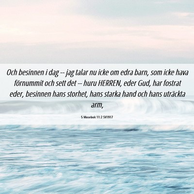 Picture 06 - 5 Mosebok 11:2 SV1917 - Och besinnen i dag -- jag talar nu icke om edra - Bible Verse Picture