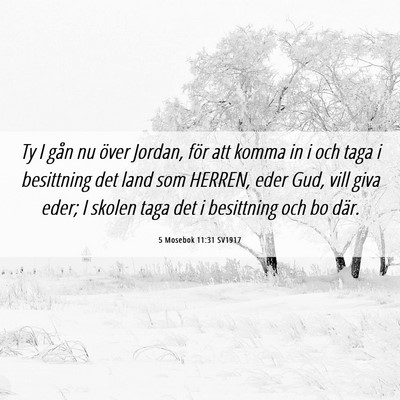 Picture 06 - 5 Mosebok 11:31 SV1917 - Ty I gån nu över Jordan, för att komma in i - Bible Verse Picture