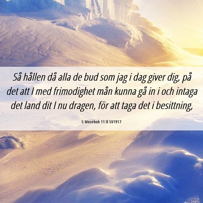 Picture 06 - 5 Mosebok 11:8 SV1917 - Så hållen då alla de bud som jag i dag giver - Bible Verse Picture