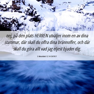 Picture 06 - 5 Mosebok 12:14 SV1917 - nej, på den plats HERREN utväljer inom en av - Bible Verse Picture