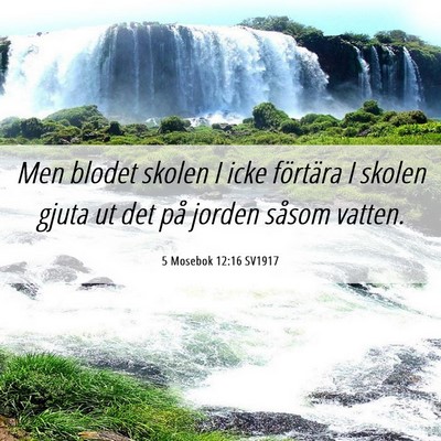 Picture 06 - 5 Mosebok 12:16 SV1917 - Men blodet skolen I icke förtära I skolen gjuta - Bible Verse Picture