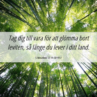 Picture 06 - 5 Mosebok 12:19 SV1917 - Tag dig till vara för att glömma bort leviten, - Bible Verse Picture