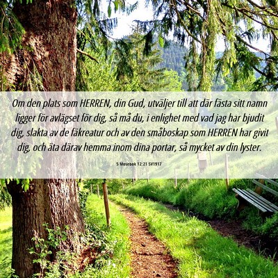 Picture 06 - 5 Mosebok 12:21 SV1917 - Om den plats som HERREN, din Gud, utväljer till - Bible Verse Picture