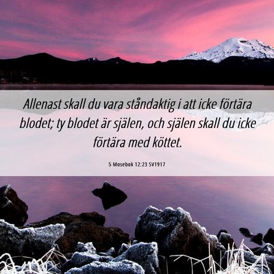 Picture 06 - 5 Mosebok 12:23 SV1917 - Allenast skall du vara ståndaktig i att icke - Bible Verse Picture