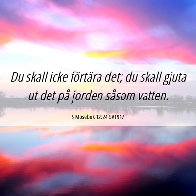 Picture 06 - 5 Mosebok 12:24 SV1917 - Du skall icke förtära det; du skall gjuta ut - Bible Verse Picture