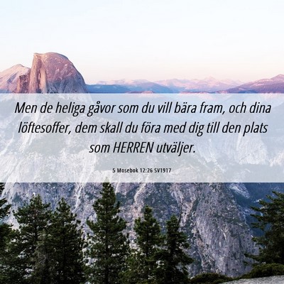 Picture 06 - 5 Mosebok 12:26 SV1917 - Men de heliga gåvor som du vill bära fram, och - Bible Verse Picture