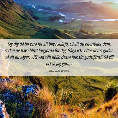 Picture 06 - 5 Mosebok 12:30 SV1917 - tag dig då till vara för att bliva snärjd, så - Bible Verse Picture