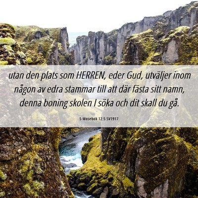 Picture 06 - 5 Mosebok 12:5 SV1917 - utan den plats som HERREN, eder Gud, utväljer - Bible Verse Picture