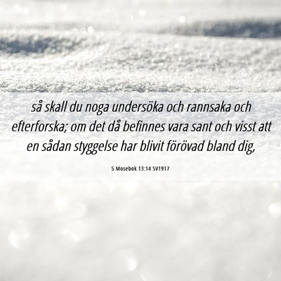 Picture 06 - 5 Mosebok 13:14 SV1917 - så skall du noga undersöka och rannsaka och - Bible Verse Picture