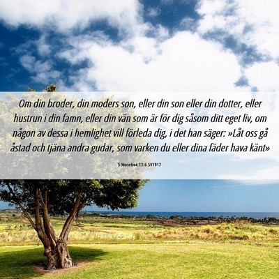 Picture 06 - 5 Mosebok 13:6 SV1917 - Om din broder, din moders son, eller din son - Bible Verse Picture