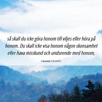 Picture 06 - 5 Mosebok 13:8 SV1917 - så skall du icke göra honom till viljes eller - Bible Verse Picture