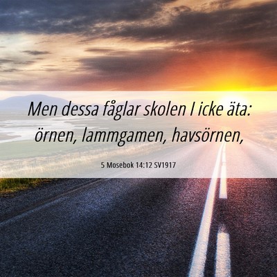 Picture 06 - 5 Mosebok 14:12 SV1917 - Men dessa fåglar skolen I icke äta: örnen, - Bible Verse Picture