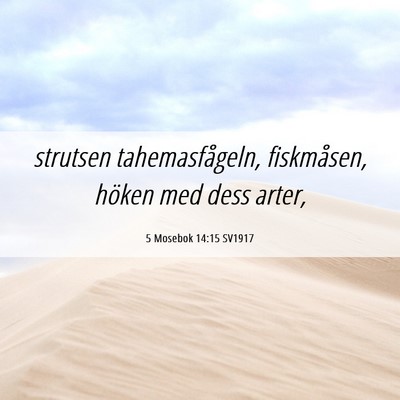 Picture 06 - 5 Mosebok 14:15 SV1917 - strutsen tahemasfågeln, fiskmåsen, höken med - Bible Verse Picture