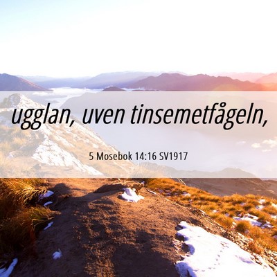 Picture 06 - 5 Mosebok 14:16 SV1917 - ugglan, uven - Bible Verse Picture