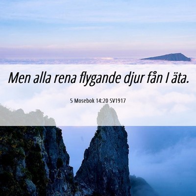 Picture 06 - 5 Mosebok 14:20 SV1917 - Men alla rena flygande djur fån I - Bible Verse Picture
