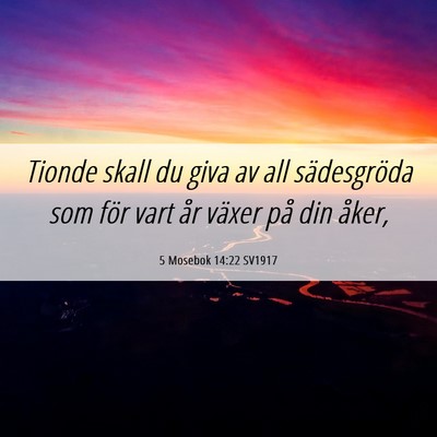 Picture 06 - 5 Mosebok 14:22 SV1917 - Tionde skall du giva av all sädesgröda som för - Bible Verse Picture