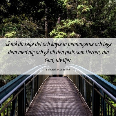 Picture 06 - 5 Mosebok 14:25 SV1917 - så må du sälja det och knyta in penningarna - Bible Verse Picture