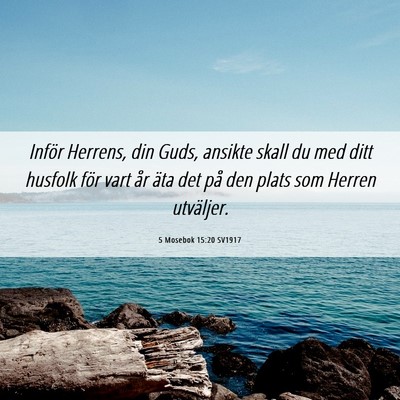 Picture 06 - 5 Mosebok 15:20 SV1917 - Inför Herrens, din Guds, ansikte skall du med - Bible Verse Picture