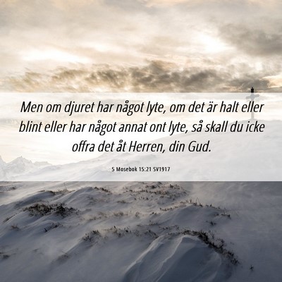 Picture 06 - 5 Mosebok 15:21 SV1917 - Men om djuret har något lyte, om det är halt - Bible Verse Picture