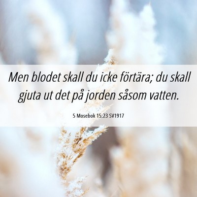 Picture 06 - 5 Mosebok 15:23 SV1917 - Men blodet skall du icke förtära; du skall - Bible Verse Picture