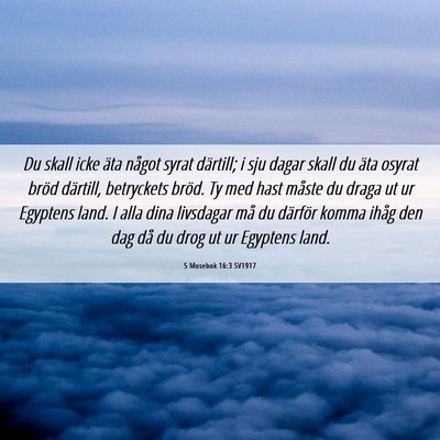 Picture 06 - 5 Mosebok 16:3 SV1917 - Du skall icke äta något syrat därtill; i sju - Bible Verse Picture
