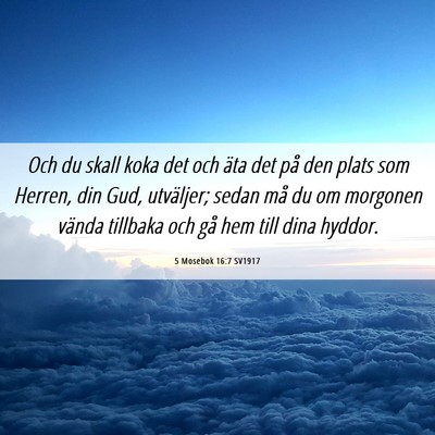 Picture 06 - 5 Mosebok 16:7 SV1917 - Och du skall koka det och äta det på den plats - Bible Verse Picture