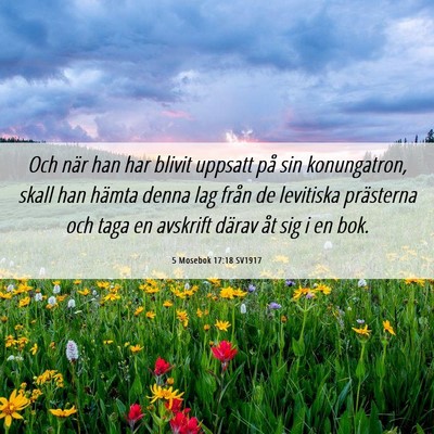 Picture 06 - 5 Mosebok 17:18 SV1917 - Och när han har blivit uppsatt på sin - Bible Verse Picture