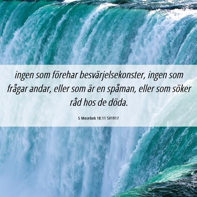 Picture 06 - 5 Mosebok 18:11 SV1917 - ingen som förehar besvärjelsekonster, ingen som - Bible Verse Picture