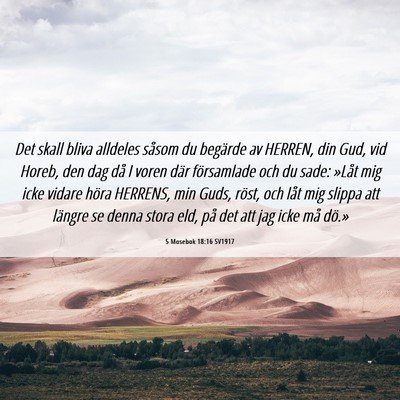 Picture 06 - 5 Mosebok 18:16 SV1917 - Det skall bliva alldeles såsom du begärde av - Bible Verse Picture