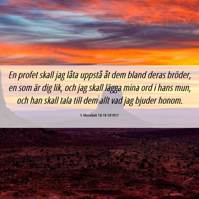 Picture 06 - 5 Mosebok 18:18 SV1917 - En profet skall jag låta uppstå åt dem bland - Bible Verse Picture
