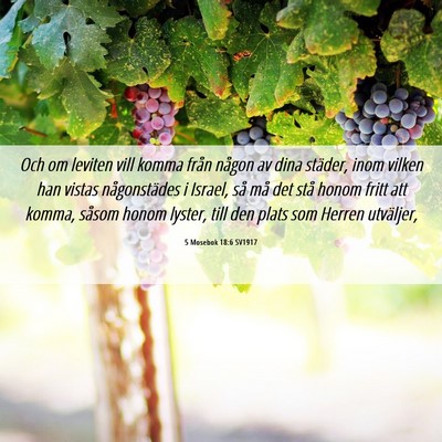 Picture 06 - 5 Mosebok 18:6 SV1917 - Och om leviten vill komma från någon av dina - Bible Verse Picture