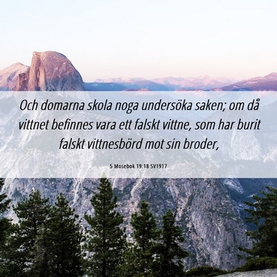 Picture 06 - 5 Mosebok 19:18 SV1917 - Och domarna skola noga undersöka saken; om då - Bible Verse Picture