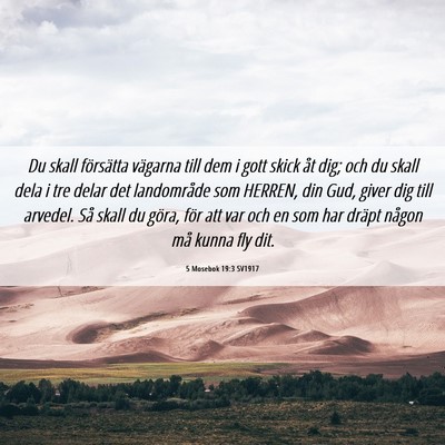 Picture 06 - 5 Mosebok 19:3 SV1917 - Du skall försätta vägarna till dem i gott - Bible Verse Picture