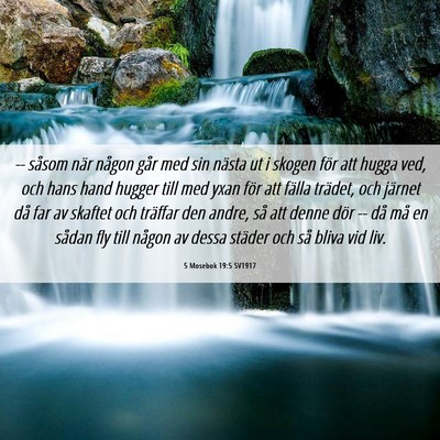 Picture 06 - 5 Mosebok 19:5 SV1917 - -- såsom när någon går med sin nästa ut i - Bible Verse Picture