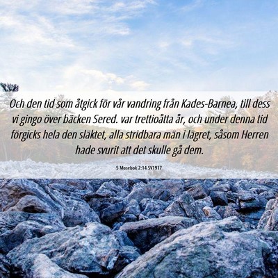 Picture 06 - 5 Mosebok 2:14 SV1917 - Och den tid som åtgick för vår vandring från - Bible Verse Picture