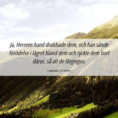 Picture 06 - 5 Mosebok 2:15 SV1917 - Ja, Herrens hand drabbade dem, och han sände - Bible Verse Picture