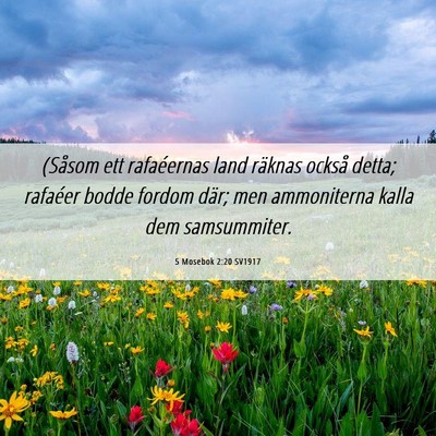 Picture 06 - 5 Mosebok 2:20 SV1917 - (Såsom ett rafaéernas land räknas också - Bible Verse Picture