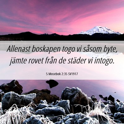 Picture 06 - 5 Mosebok 2:35 SV1917 - Allenast boskapen togo vi såsom byte, jämte - Bible Verse Picture