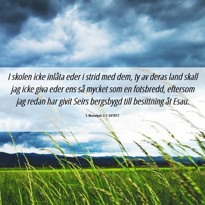 Picture 06 - 5 Mosebok 2:5 SV1917 - I skolen icke inlåta eder i strid med dem, ty av - Bible Verse Picture