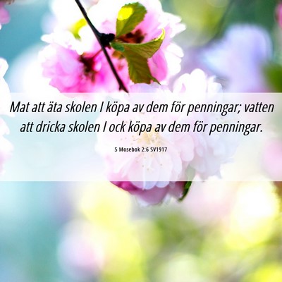 Picture 06 - 5 Mosebok 2:6 SV1917 - Mat att äta skolen I köpa av dem för - Bible Verse Picture