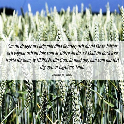 Picture 06 - 5 Mosebok 20:1 SV1917 - Om du drager ut i krig mot dina fiender, och du - Bible Verse Picture