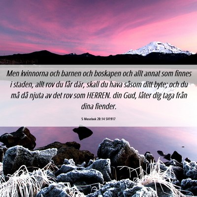 Picture 06 - 5 Mosebok 20:14 SV1917 - Men kvinnorna och barnen och boskapen och allt - Bible Verse Picture