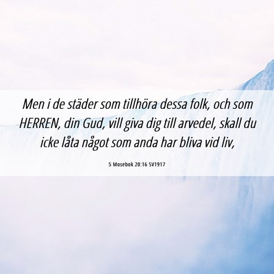 Picture 06 - 5 Mosebok 20:16 SV1917 - Men i de städer som tillhöra dessa folk, och - Bible Verse Picture