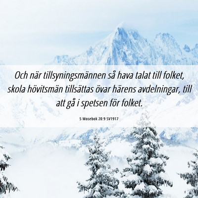 Picture 06 - 5 Mosebok 20:9 SV1917 - Och när tillsyningsmännen så hava talat till - Bible Verse Picture