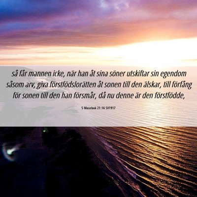 Picture 06 - 5 Mosebok 21:16 SV1917 - så får mannen icke, när han åt sina söner - Bible Verse Picture